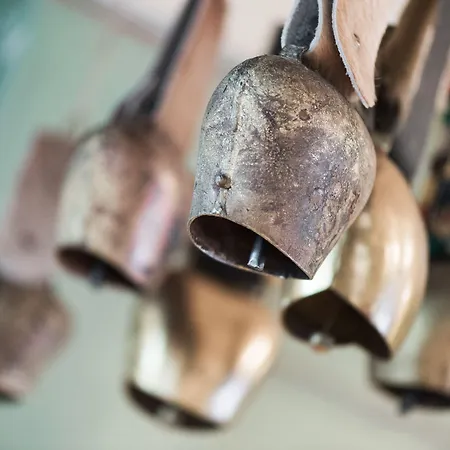 شقة فندقية Mondi اكسامز